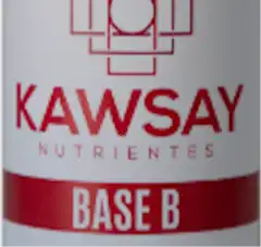 KAWSAY Base B 250cc
