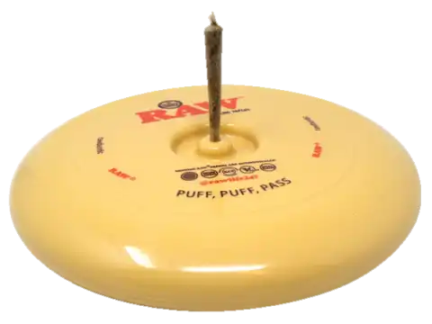 RAW Frisbee