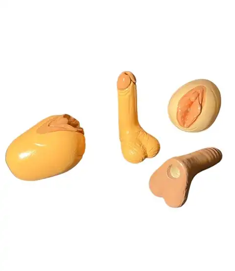 CERAMICA Tuquero Genitales