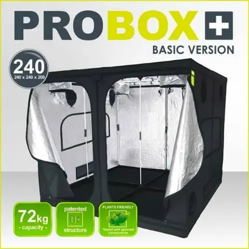 GARDEN Carpa Probox Basic 240x240x200cm