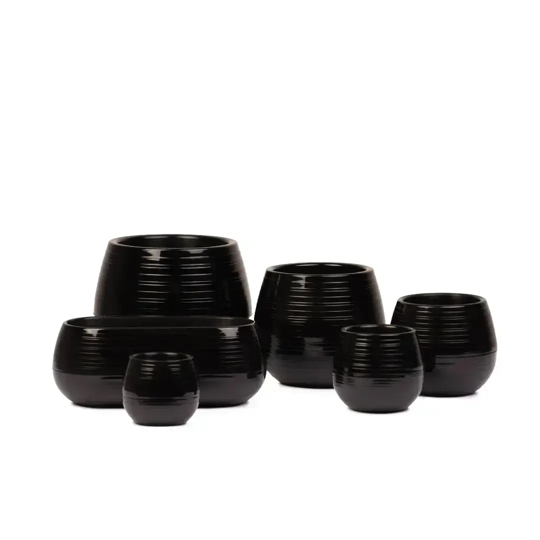 BERU Set Autorriego