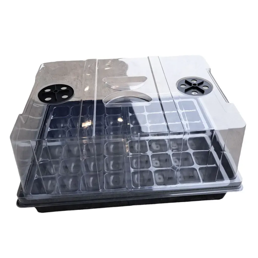 BIOPROYECT Bandeja Mediana 39x29x19cm
