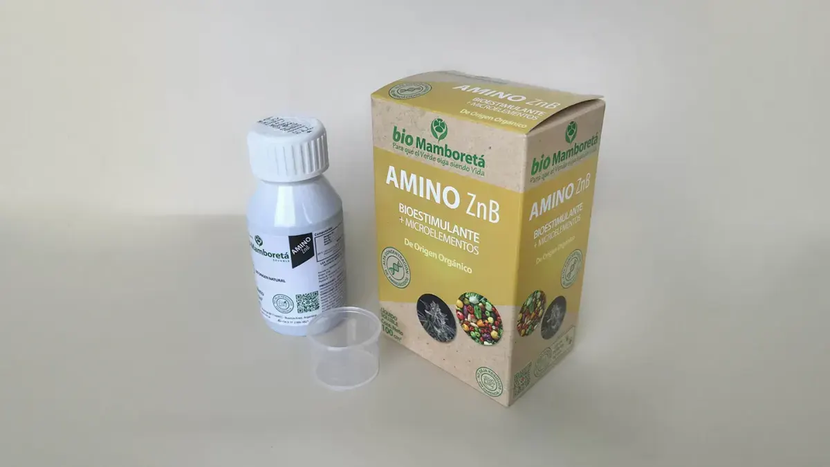 Mamboreta Amino
