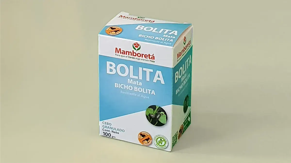 Mamboreta BOLITA 100grs