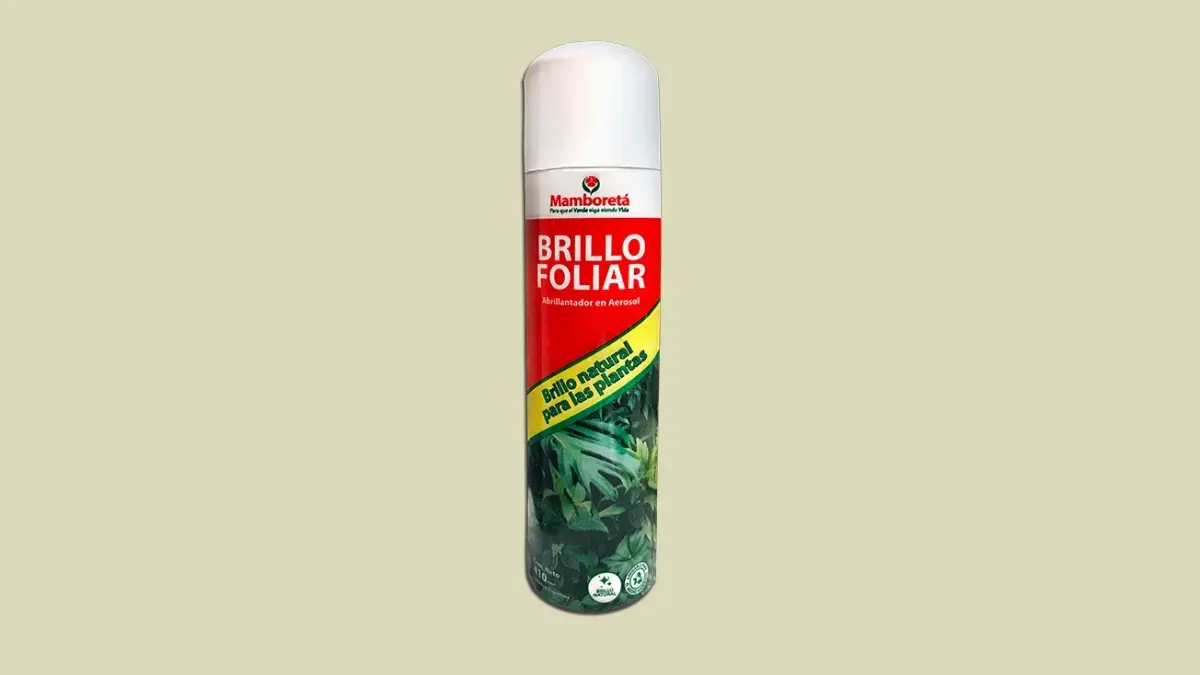 Mamboreta BRILLO FOLIAR