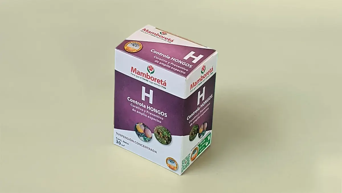 Mamboreta H 30cc