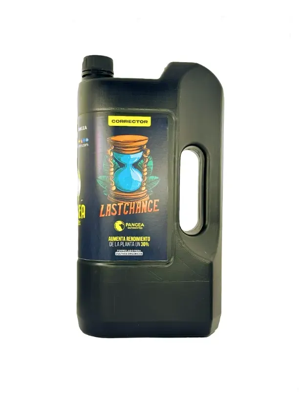 PANGEA Corrector Last Chance 2lts