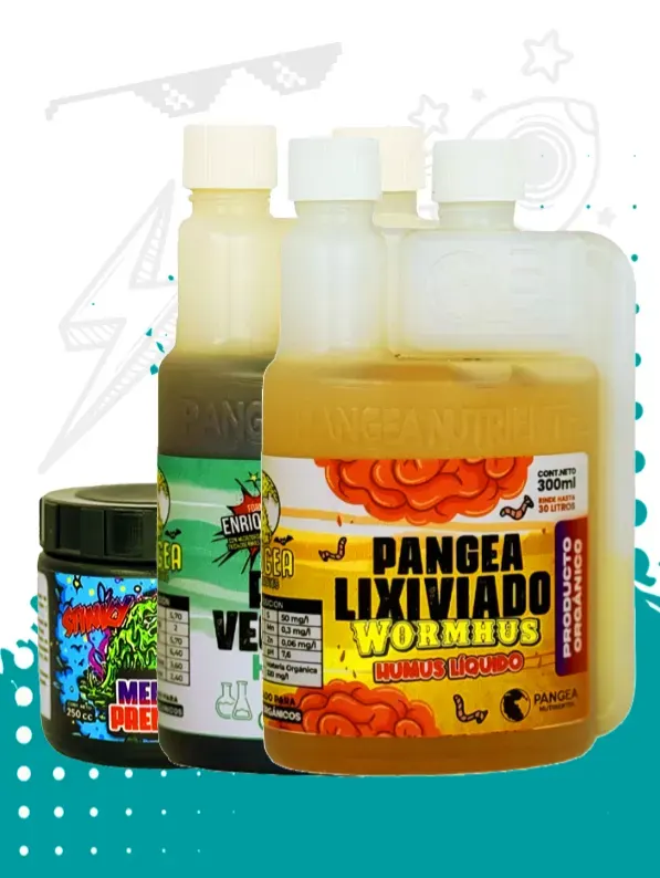 PANGEA Kit Agroecologico