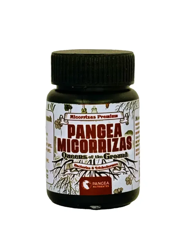 PANGEA Micorrizas Queen of Ground 130grs