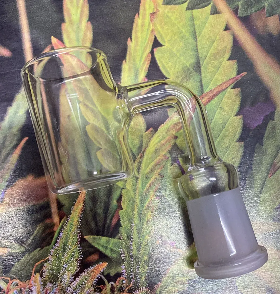 Banger para Wax Hembra 14 mm 266