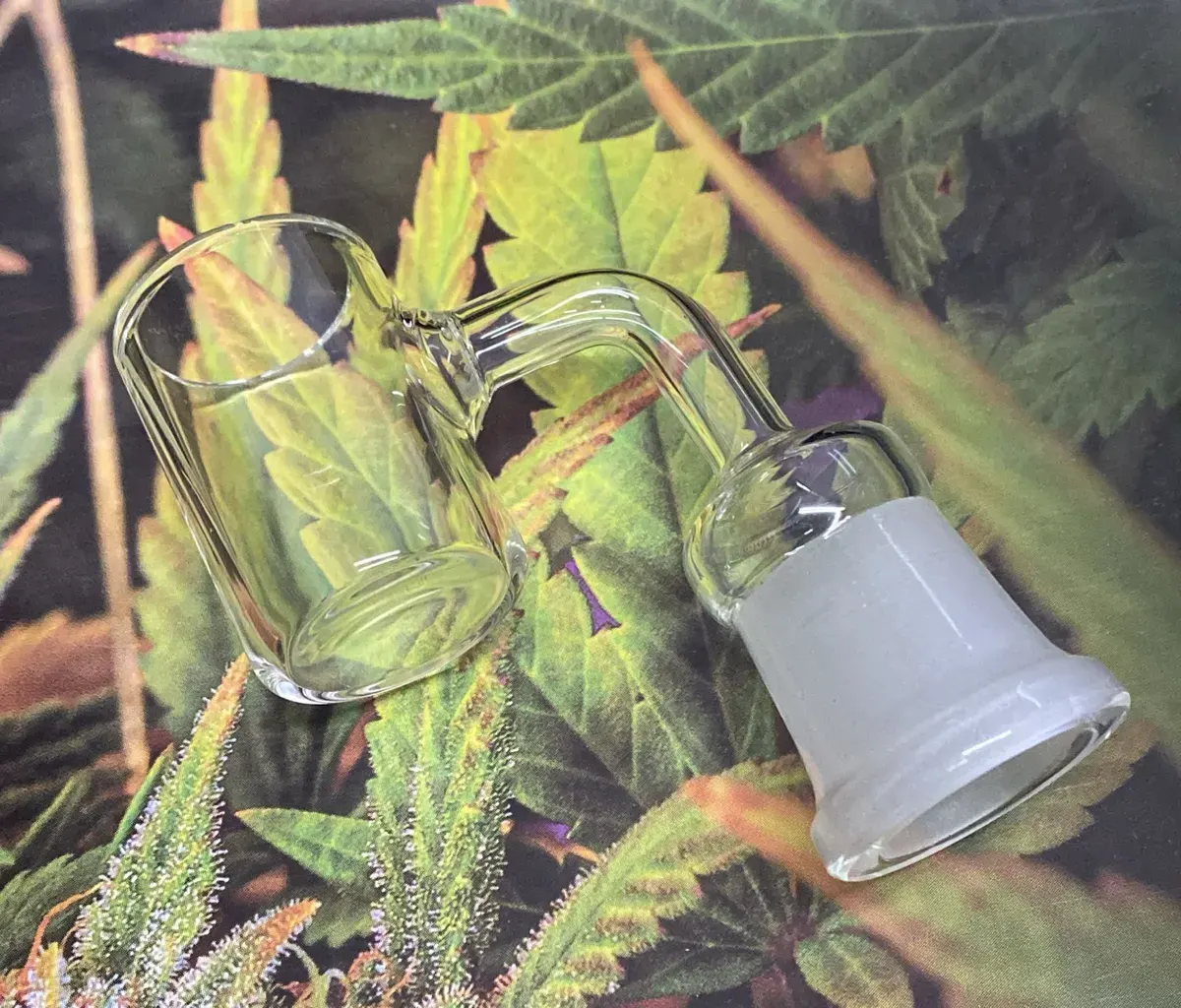 Banger para Wax Hembra 19 mm 263