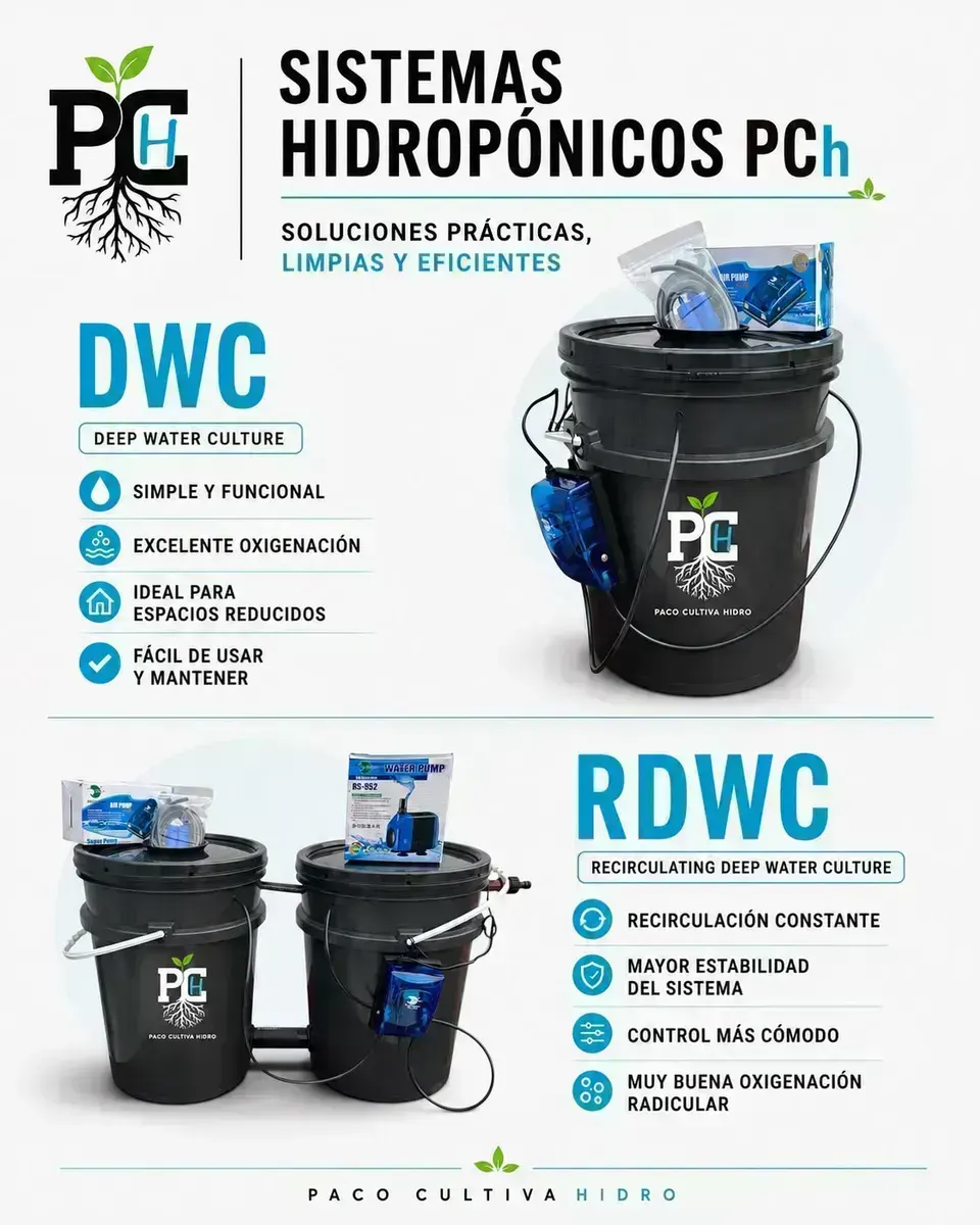 Sistema RDWC 6.1