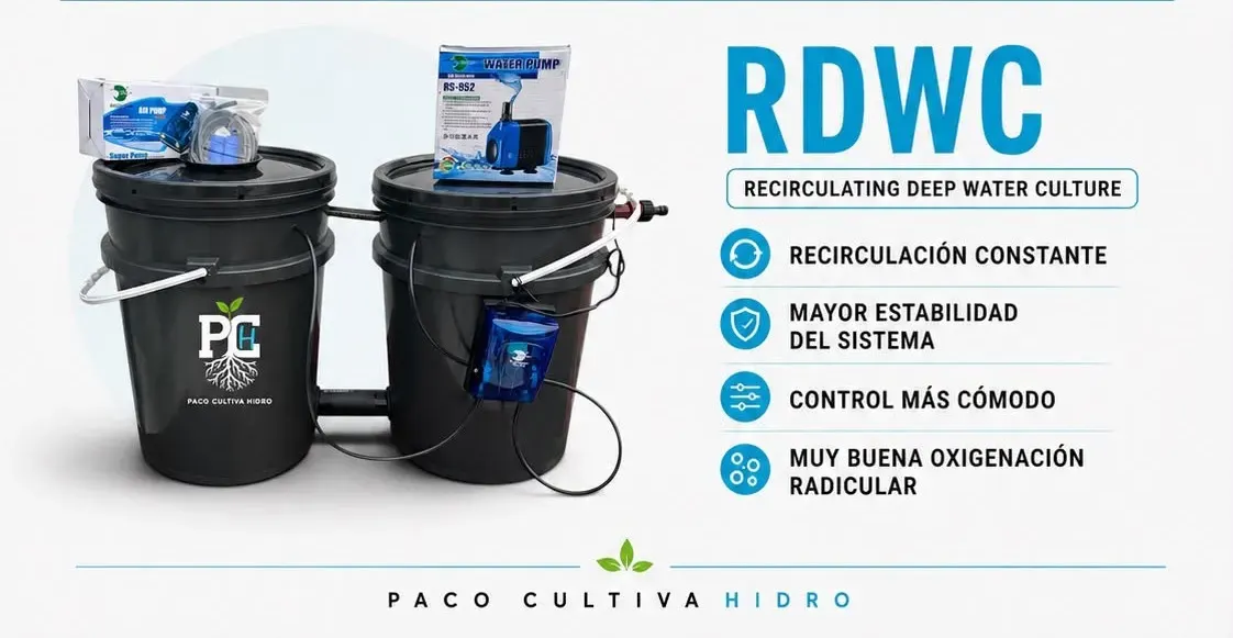 Sistema RDWC 1.1 