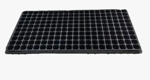 Bandeja Germinacion 200celdas