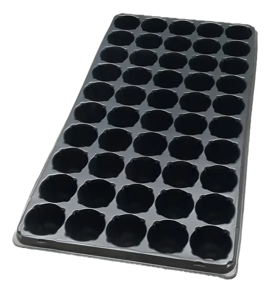 Bandeja Germinacion 50celdas