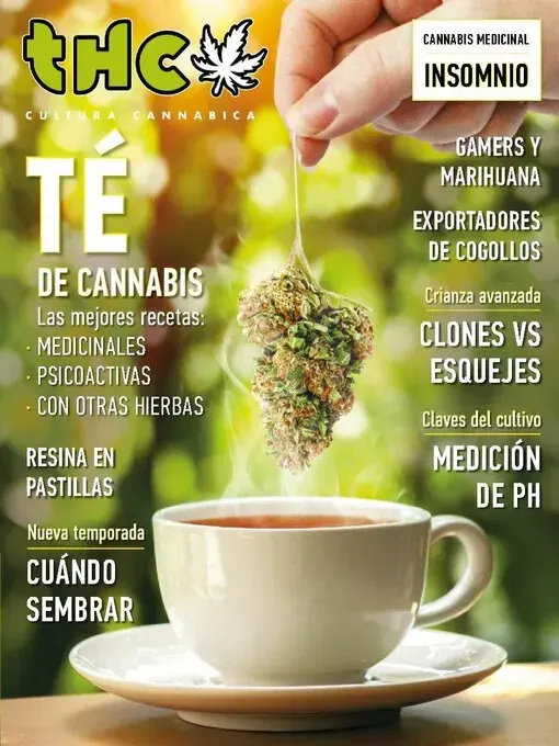 THC 135 | TÉ DE CANNABIS