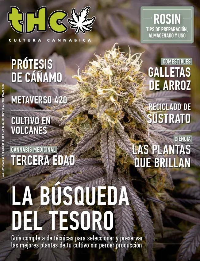 THC 158 - LA BUSQUEDA DEL TESORO