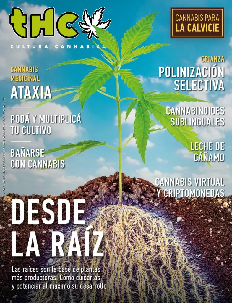 THC 148 - DESDE LA RAÍZ