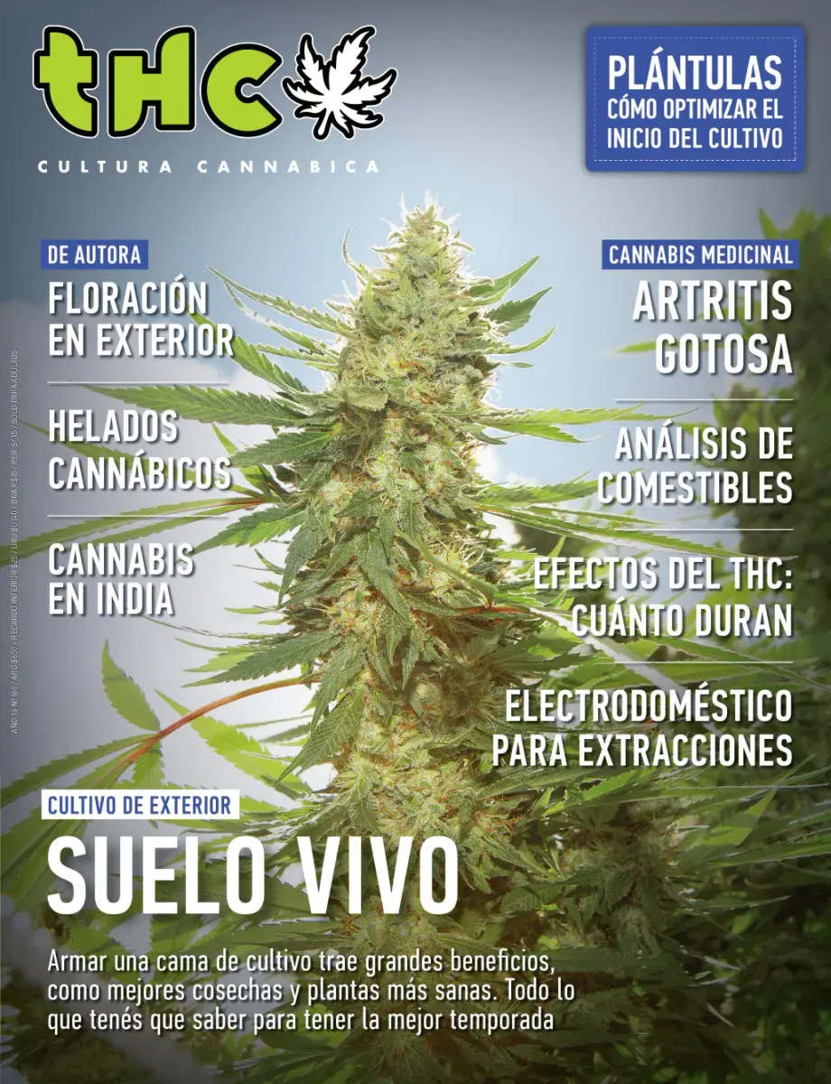 THC 161 - SUELO VIVO
