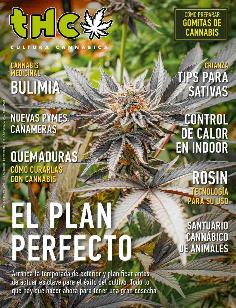 THC 149 - EL PLAN PERFECTO