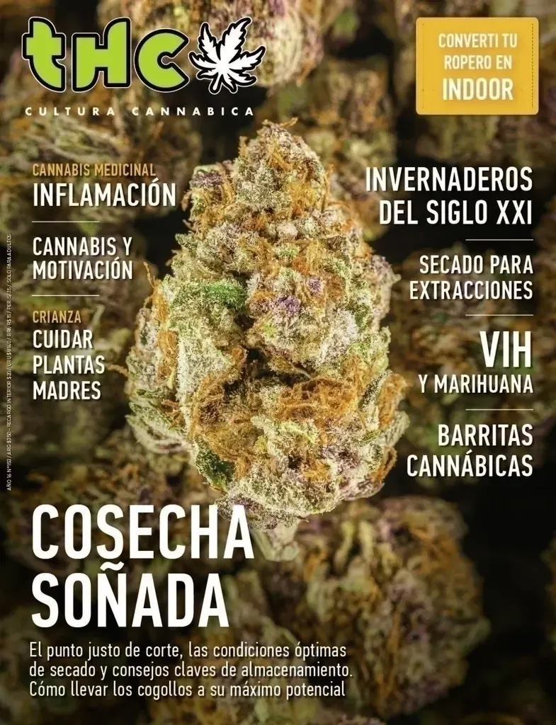 THC 153 | COSECHA SOÑADA