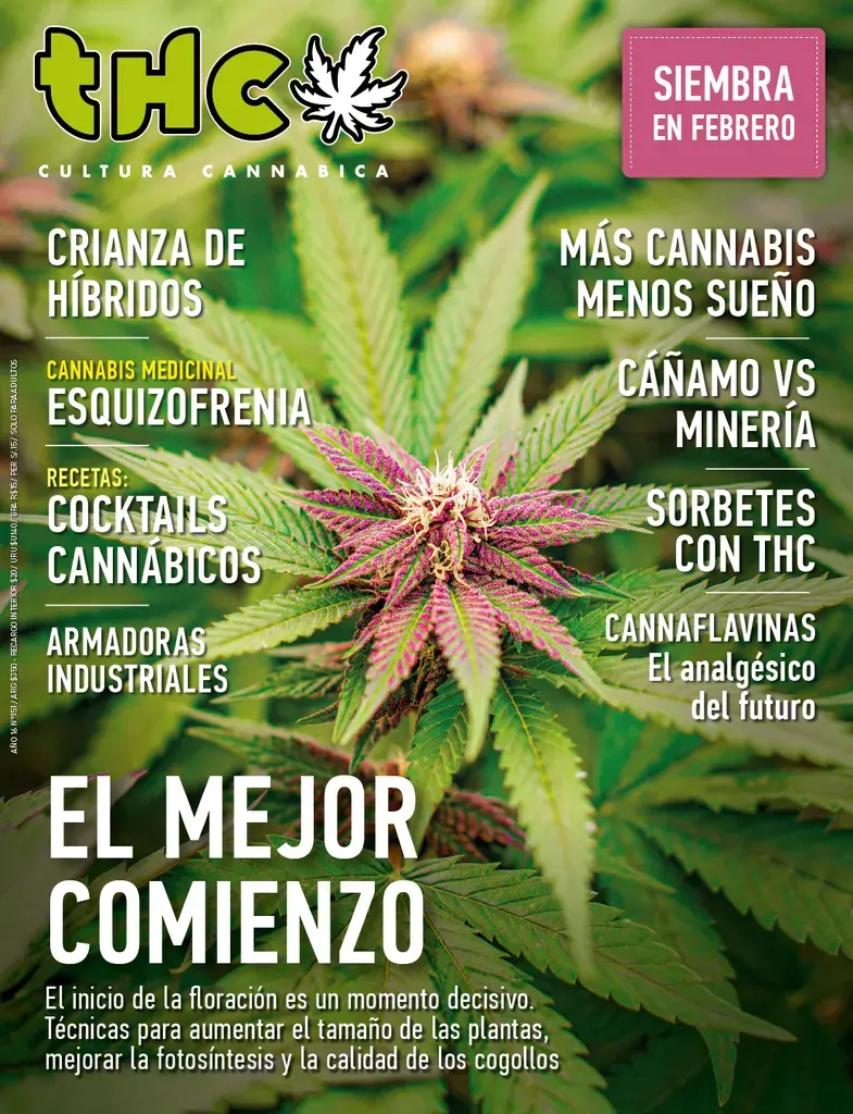 THC 151 | EL MEJOR COMIENZO