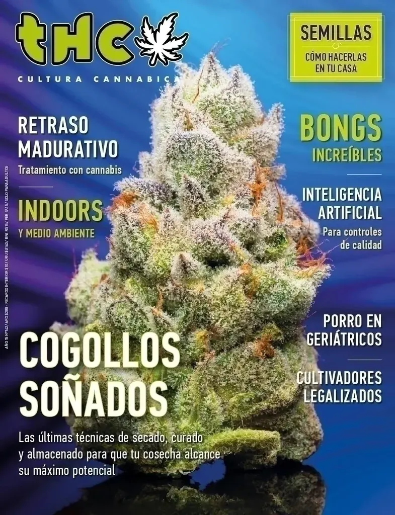 THC 142 | COGOLLOS SOÑADOS