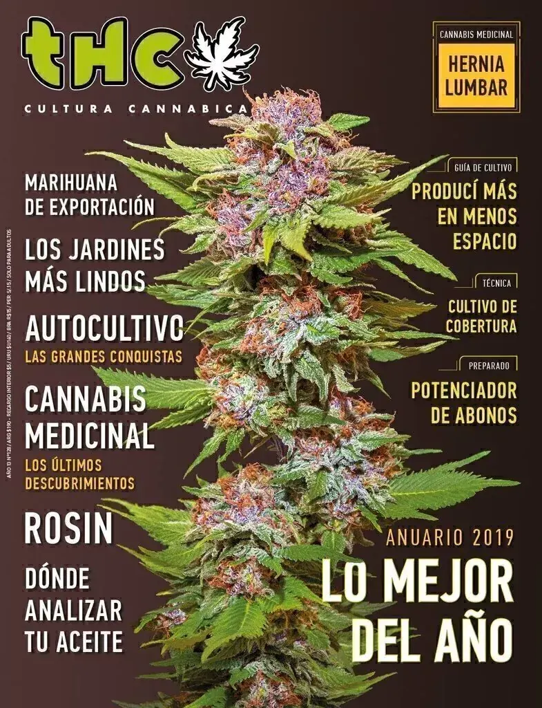 THC 128 - LO MEJOR DE 2019