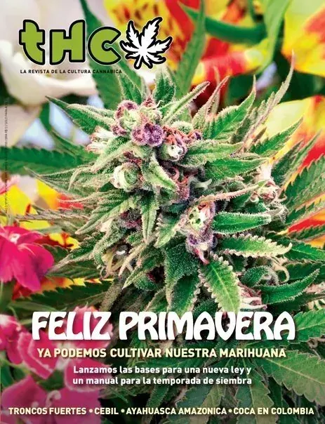 THC 19 - FELIZ PRIMAVERA