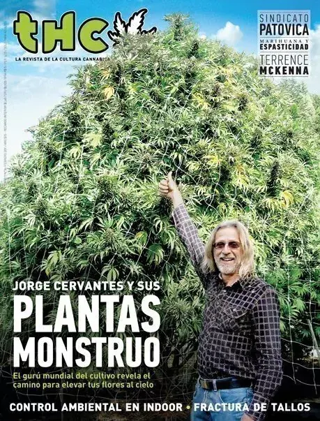 THC 36 - PLANTAS MONSTRUO