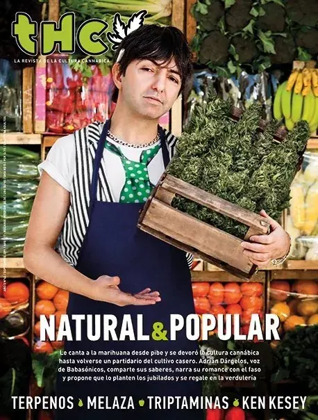 THC 43 - NATURAL Y POPULAR