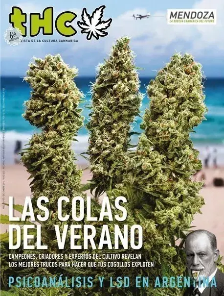 THC 57 - LAS COLAS DEL VERANO