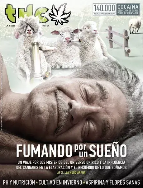 THC 61 - FUMANDO POR UN SUEÑO