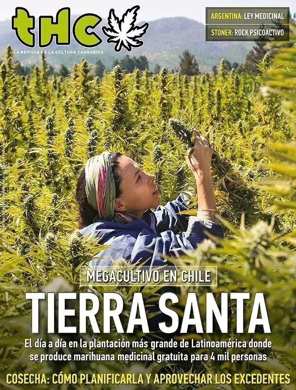 THC 89 - TIERRA SANTA