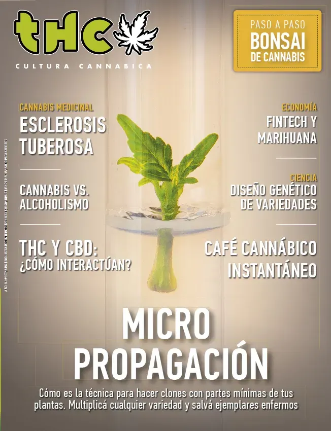 THC 157 - MICRO PROPAGACIÓN
