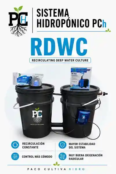 Sistema RDWC 1.1 