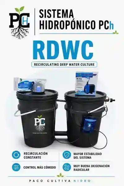Sistema RDWC 3.1 