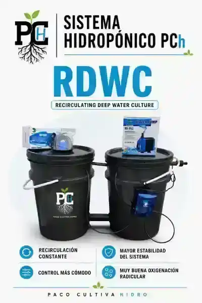 Sistema RDWC 5.1 